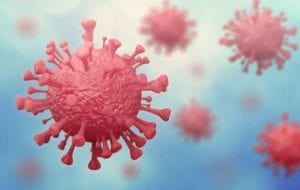 Closeup of the COVID-19 Coronavirus